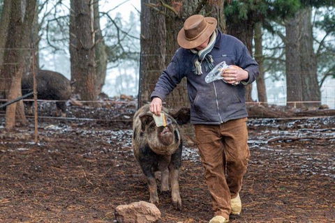 Paddock To Plate Farm Tour And Tasting - Accommodation QLD 5
