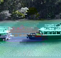 Byron Bay Rainforest Eco-Cruise - Accommodation QLD