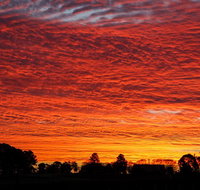 Private Full-Day Wine Tour in Hunter Valley - Accommodation QLD