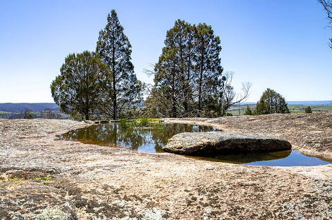 Bathurst Wine Trail Full-Day Private Tour With Tastings - Accommodation QLD 5