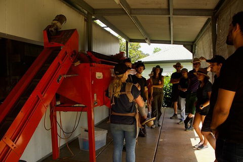 Pecan Farm Tour And Workshop, Byron Bay Hinterland - Accommodation QLD 4