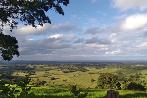 Pecan Farm Tour And Workshop, Byron Bay Hinterland - Accommodation QLD 1