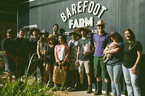 Pecan Farm Tour And Workshop, Byron Bay Hinterland - Accommodation QLD 0