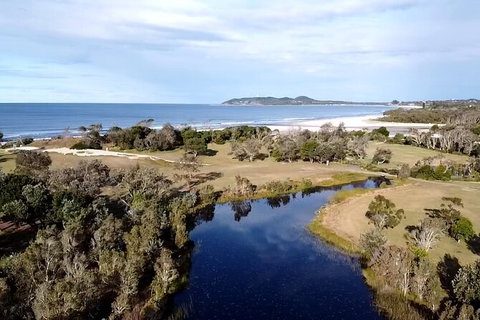 Coffee Farm Tour And Workshop, Byron Bay Hinterland - Accommodation QLD 3