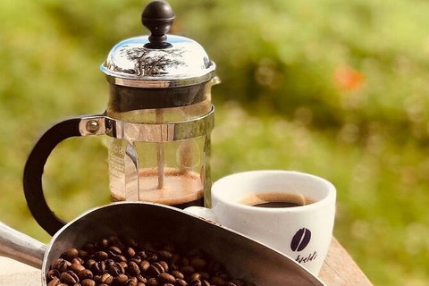 Coffee Farm Tour And Workshop, Byron Bay Hinterland - Accommodation QLD 0