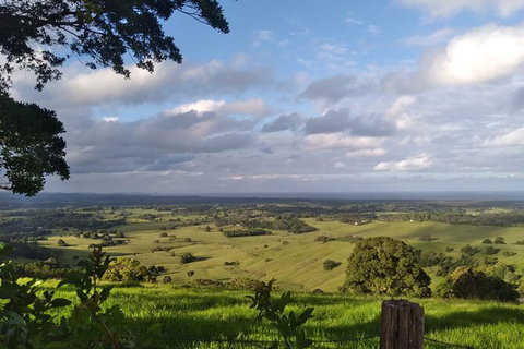 Coffee Farm Tour And Workshop, Byron Bay Hinterland - Accommodation QLD 4