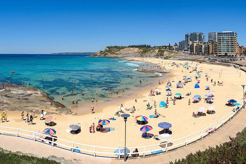 Newcastle Scenic Explorer - 2 Hour Tour By Minibus - Accommodation QLD 16