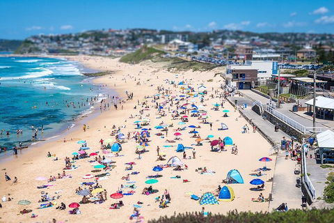 Newcastle Scenic Explorer - 2 Hour Tour By Minibus - Accommodation QLD 6