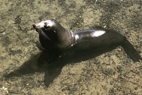 South Coast Photography Field Day - Accommodation QLD 5