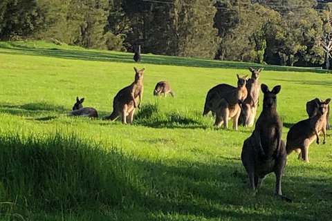 South Coast Photography Field Day - Accommodation QLD 6