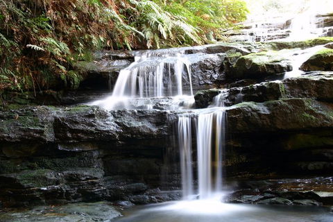 Private 10-hour Tour To Blue Mountains From Sydney - Hotel Pick Up & Drop Off - Accommodation QLD 6