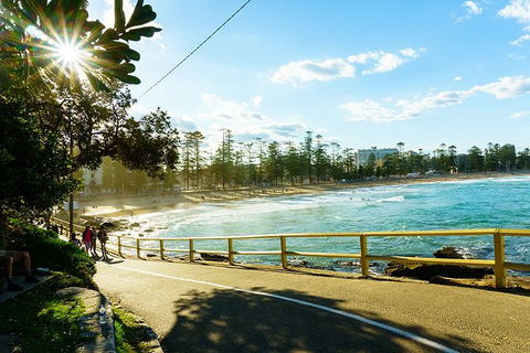 Sydney With Bondi And Beaches Essentials Private Day Tour - Accommodation QLD 8