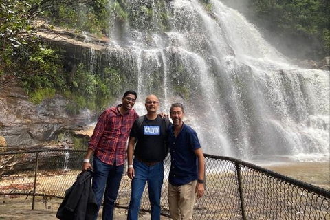 Blue Mountains Highlights & Wildlife Park - Accommodation QLD 4