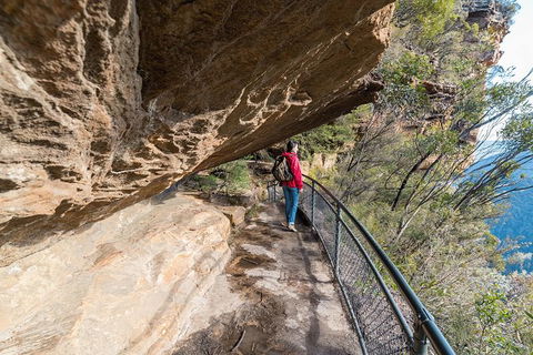 Blue Mountains Highlights & Wildlife Park - Accommodation QLD 0