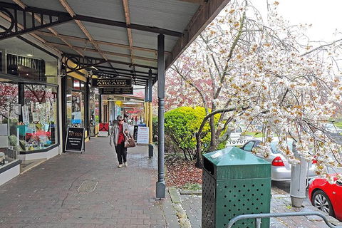 Blue Mountains Highlights & Wildlife Park - Accommodation QLD 2