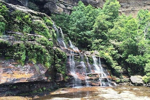 Blue Mountains Highlights & Wildlife Park - Accommodation QLD 8