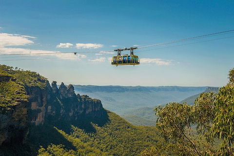 Blue Mountains Highlights, Wildlife Park And Scenic World Full Day Private Tour - Accommodation QLD 0