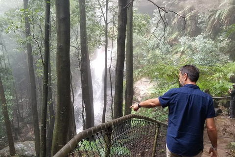 Blue Mountains Highlights, Wildlife Park And Scenic World Full Day Private Tour - Accommodation QLD 6