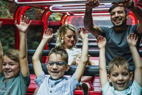 Blue Mountains Highlights, Wildlife Park And Scenic World Full Day Private Tour - Accommodation QLD 5