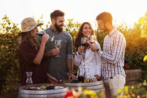 Hunter Valley Highlights Private Wine Tour From Sydney - Accommodation QLD 0