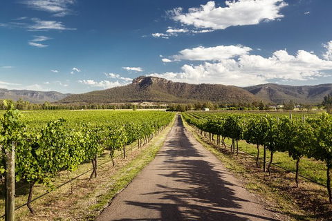 Hunter Valley Highlights Private Wine Tour From Sydney - Accommodation QLD 2