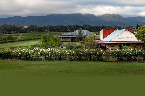 Hunter Valley Highlights Private Wine Tour From Sydney - Accommodation QLD 5