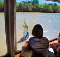 Jumping Crocs  Nature Adventure Cruise from Darwin - Accommodation QLD