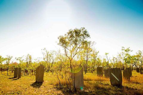 Litchfield National Park Waterfalls Day Trip From Darwin Including Termite Mounds And Lunch - Accommodation QLD 1