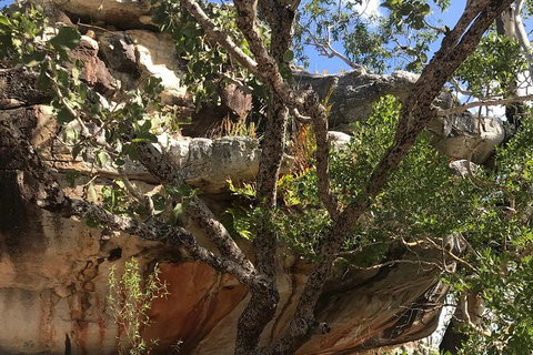 2-Hour 4WD Tour: Groote Eylandt Snapshot - Accommodation QLD 3