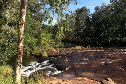 4-Hour Groote Eylandt Explorer 4WD Tour - Accommodation QLD 5