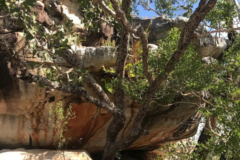 4-Hour Groote Eylandt Explorer 4WD Tour - Accommodation QLD 1