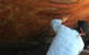 4-Hour Groote Eylandt Explorer 4WD Tour - thumb 2