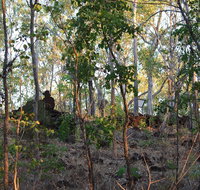 World War II Beyond Darwin - Accommodation QLD