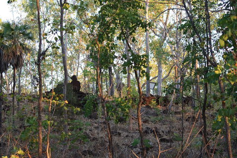 World War II Beyond Darwin - Accommodation QLD 0
