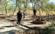 World War II Beyond Darwin - thumb 3