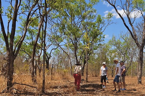 World War II Beyond Darwin - Accommodation QLD 4