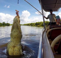Pathfinder Jumping Crocodile Cruise Shuttle Bus - Accommodation QLD