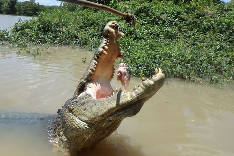 Jumping Crocodile Day Trip From Darwin - Accommodation QLD 2