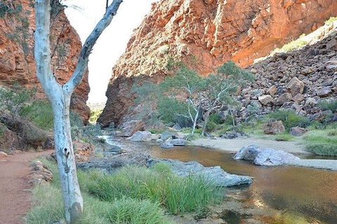 Alice Springs, Uluru Ayers Rock & Kings Canyon 8 Days Touring Package - Accommodation QLD 2
