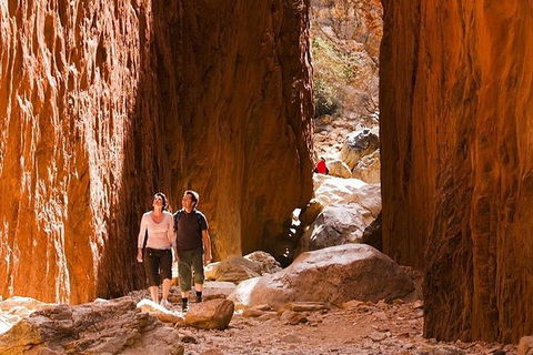 Alice Springs, Uluru Ayers Rock & Kings Canyon 8 Days Touring Package - Accommodation QLD 5