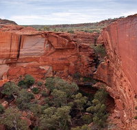 Uluru Kata Tjuta and Kings Canyon Camping Safari from Ayers Rock - Accommodation QLD