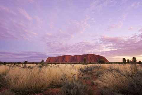 Explore Uluru: 7 Hours Guide Tour At Sunrise With Light Breakfast - Accommodation QLD 4