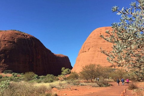 5-Hour Kata Tjuta Sunrise Tour From Ayers Rock With Breakfast - Accommodation QLD 2