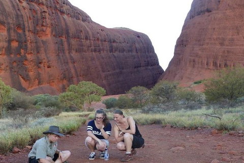 5-Hour Kata Tjuta Sunrise Tour From Ayers Rock With Breakfast - Accommodation QLD 3