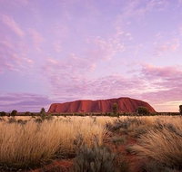 Sunset Australian Barbecue Dinner in Uluru - Accommodation QLD