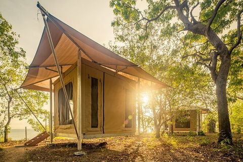 5 Day Kakadu National Park And Arnhem Land Tour - Accommodation QLD 7