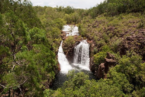 5 Day Kakadu National Park And Arnhem Land Tour - Accommodation QLD 1