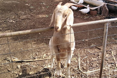 Full-Day Private Guided Tour To Litchfield National Park - Accommodation QLD 10