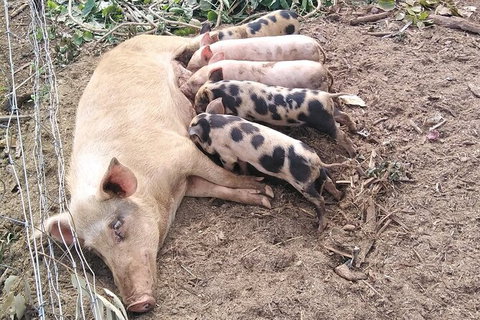 Full-Day Private Guided Tour To Litchfield National Park - Accommodation QLD 2