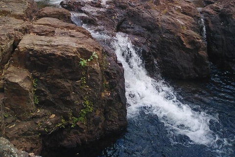 Full-Day Private Guided Tour To Litchfield National Park - Accommodation QLD 8